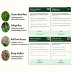 LinfaFlow Ingredients